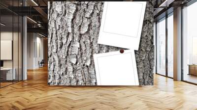 Close-up of two square blank photo frames with pins on grey tree bark background Wall mural