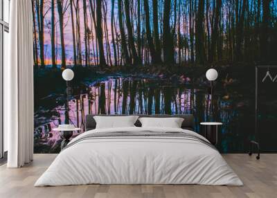 Silhouette of trees in the forest  on purple cloudy sunset, scene reflected in rain water background Wall mural