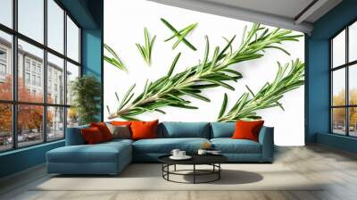 fresh twig of rosemary a couple of smaller pieces and single needles isolated over a transparent background food health or perfumery related design element top view flat lay Wall mural