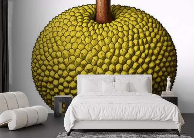 illustration of a green jackfruit on white background Wall mural