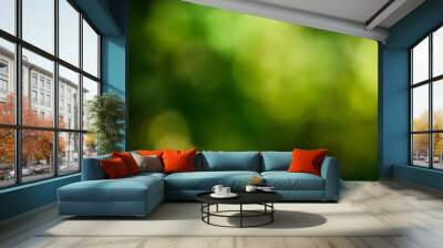 Background of nature - natural bokeh from forest for graphics Wall mural