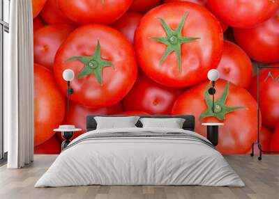 Close up photo of organic tomatoes, selective focus. Wall mural