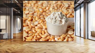 Pea protein powder in a measuring spoon, shallow depth of field. Wall mural