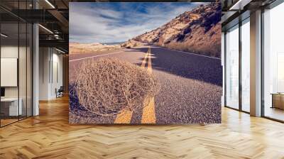 Tumbleweed on a road, color toned picture, Capitol Reef National Park, Utah, USA. Wall mural