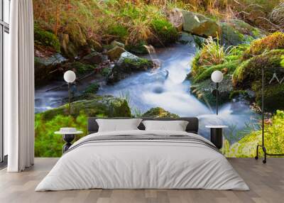 Clean water cascade at fresh pure natural green forest enviroment mossy rock background freshness concept brook Wall mural