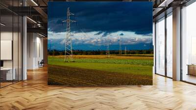 power lines in the field Wall mural