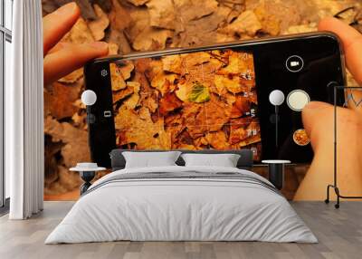 Taking pictures with a smartphone Wall mural