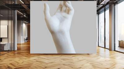 marble statue white hand reaching out Wall mural