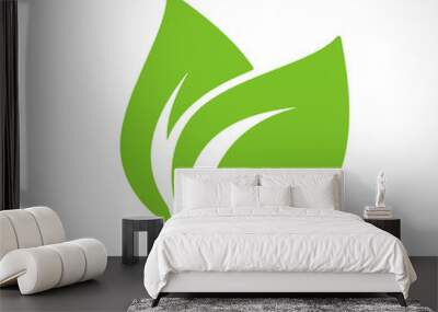 eco green leaf concept Wall mural