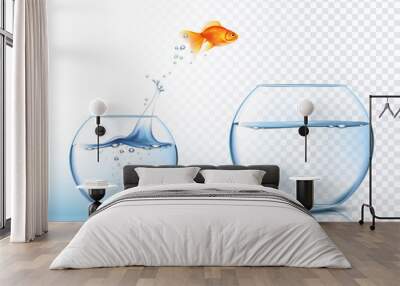 Goldish Jumps Out Water Bowl  PIcture Wall mural