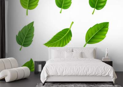 Green leaves decorative set Wall mural