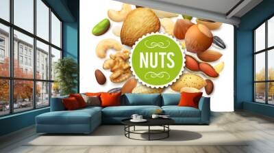 Nut Collection Illustration Wall mural