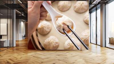 Xiaolongbao Wall mural