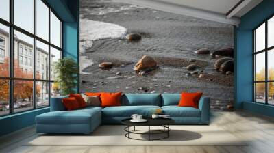 Sea shore with stones and foam, pebble seascape.  Wall mural