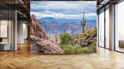 Superstition Mountains, Arizona, USA Wall mural