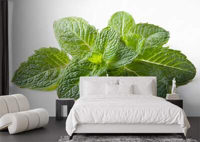 Green mint leaves isolated on white background Wall mural