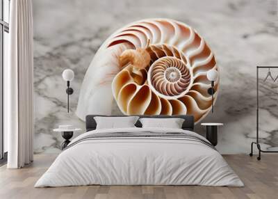 Seashell are beautiful and used for decoration, with patterns and colorful. Wall mural