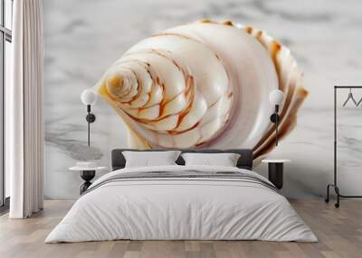 Seashell are beautiful and used for decoration, with patterns and colors. Wall mural