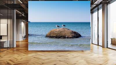 Two seagulls on a rock at the beach - West coast South Africa - Image Wall mural