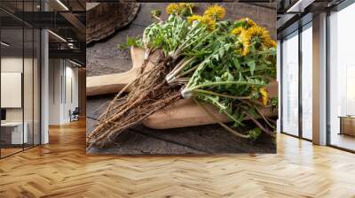 dandelion roots with leaves Wall mural