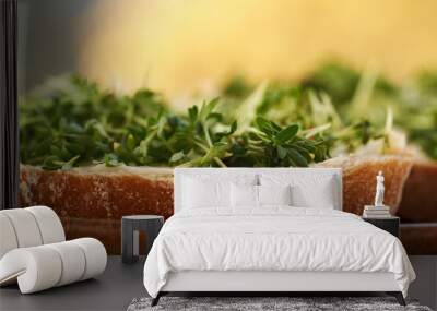 Fresh homegrown garden cress sprouts or microgreens on a slice of bread, closeup Wall mural