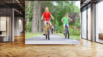 Two girls ride a bike on a bike path Wall mural