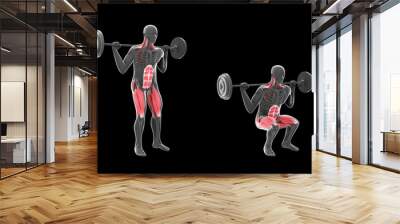 3d Illustration of Barbell Parallel Squat Wall mural