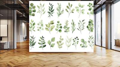 Collection of watercolor greenery branch leaves twigs floral plant forest herbs isolated on white background. Botanical spring summer leaf illustration for wedding invitation card, frame and wreath Wall mural