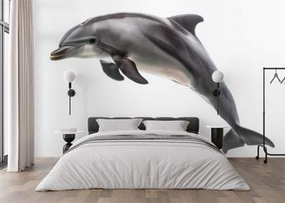 Dolphin isolated on white background Wall mural