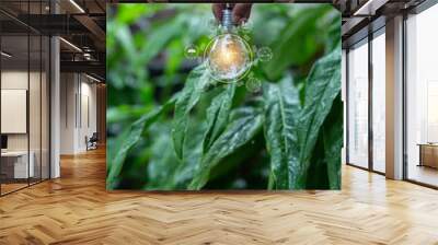 Light bulbs that grow, in the concept of energy in nature. Wall mural