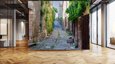 cordes sur ciel and its medieval cobbled streets. France Wall mural