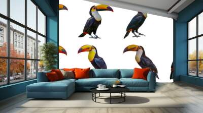 Colorful toucans in various poses cut out png on transparent background Wall mural