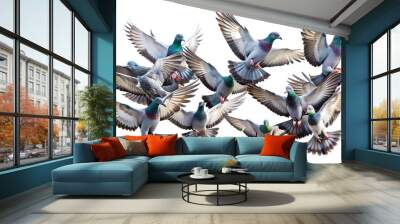 Flock of pigeons flying with wings spread, png transparent background Wall mural