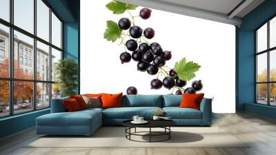 Fresh blackcurrants with green leaves on display isolated transparent background Wall mural