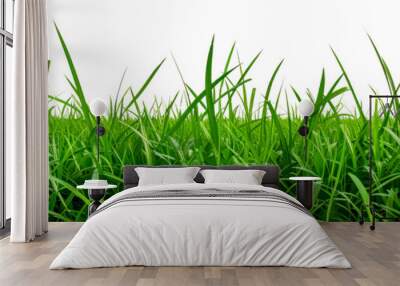 Lush green grass field landscape cut out on transparent background Wall mural