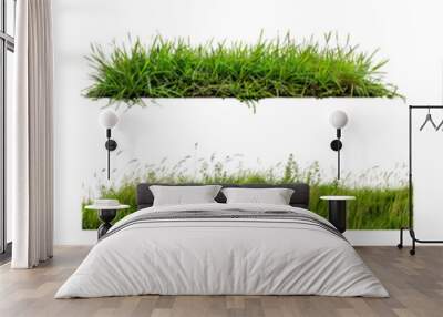 Set of Lush green grass isolated transparent PNG background Wall mural