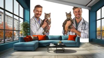 Set of Smiling young white male veterinarian holding a cat in a vet clinic isolated transparent PNG background Wall mural