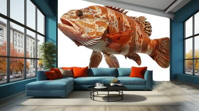 Spotted grouper fish profile, cut out transparent Wall mural