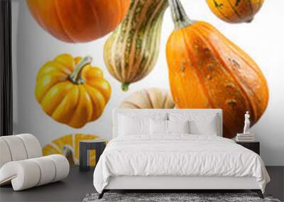 Variety of pumpkins and gourds, isolated PNG transparent Wall mural