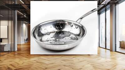 stainless steel pan with washing soap Wall mural