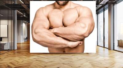 bodybuilding man Wall mural