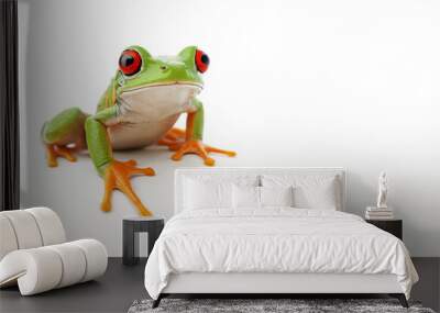 cute tree frog isolated on white background Wall mural