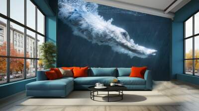 diving Wall mural