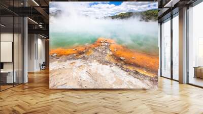 hot sparkling lake in New Zealand Wall mural