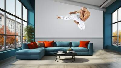 martial arts master Wall mural