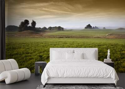 nebel Wall mural