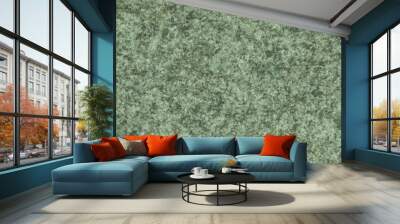 seamless typical green granite texture background Wall mural