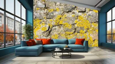 stone wall yellow lichen Wall mural