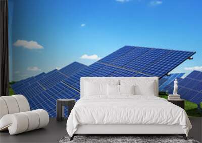 typical solar plant outdoors Wall mural