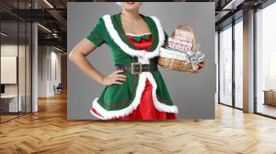 Christmas elf and gray background  Wall mural